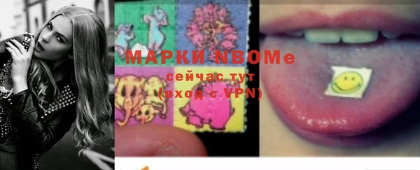 спайс Няндома