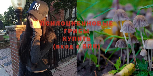 ПСИЛОЦИБИНОВЫЕ ГРИБЫ Нягань