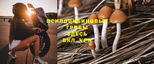 спайс Няндома