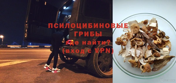ПСИЛОЦИБИНОВЫЕ ГРИБЫ Нягань