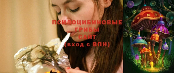 спайс Няндома