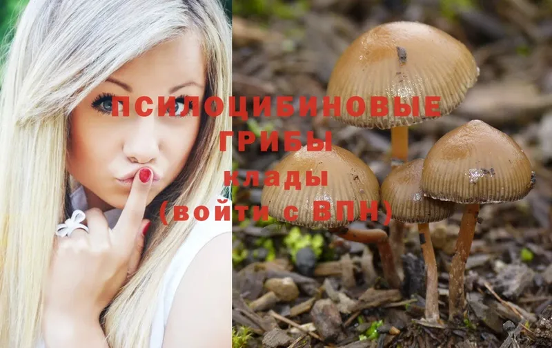 Галлюциногенные грибы Magic Shrooms  Аргун 