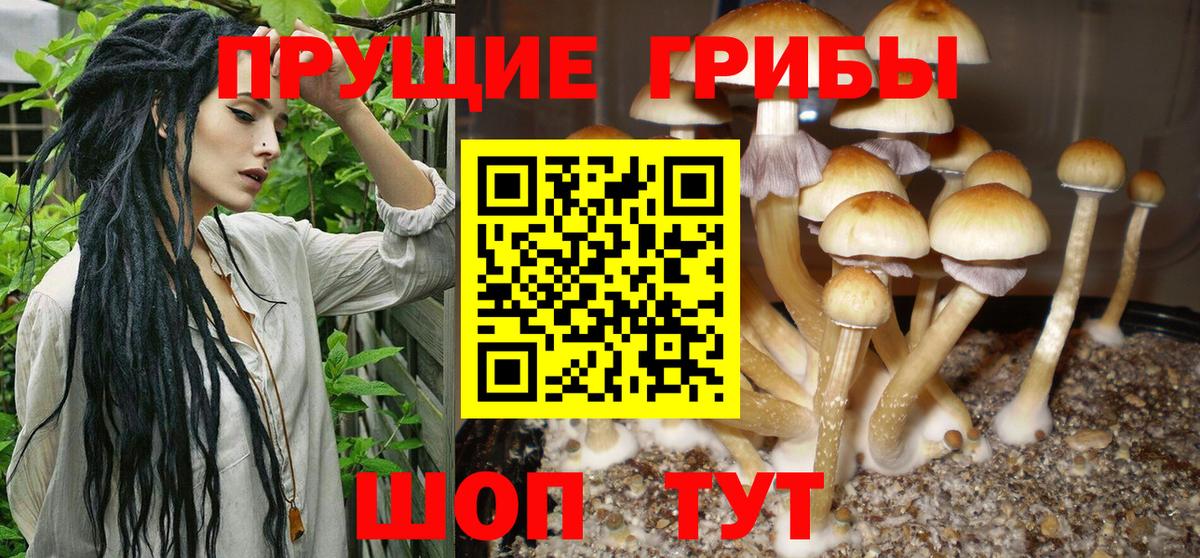 где можно купить наркотик  Вход с VPN  Аргун  Галлюциногенные грибы мухоморы 