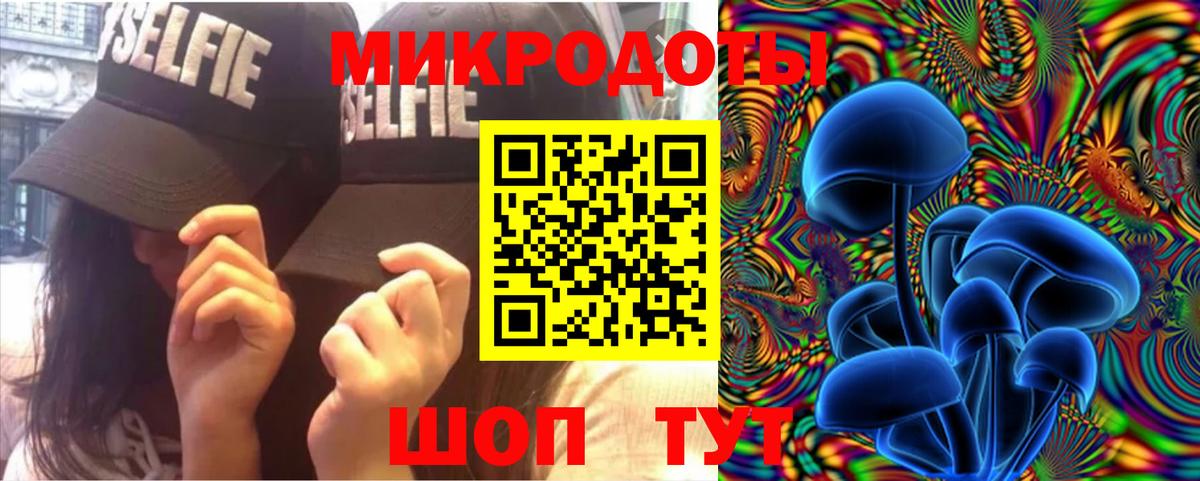 Галлюциногенные грибы Psilocybine cubensis Аргун