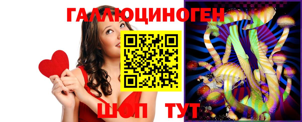 купить  цена  Аргун  Галлюциногенные грибы GOLDEN TEACHER 